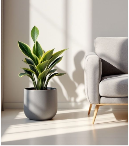 Green Up Your Space: Using Plants & Pots | Decor to Refresh Your Home