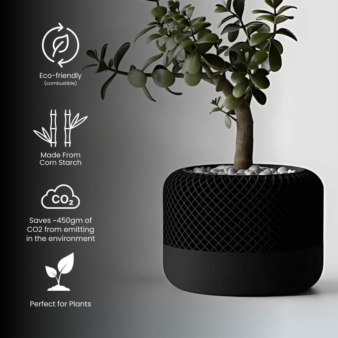 Modern Apple Home Pot — modern indoor planter India | Styra