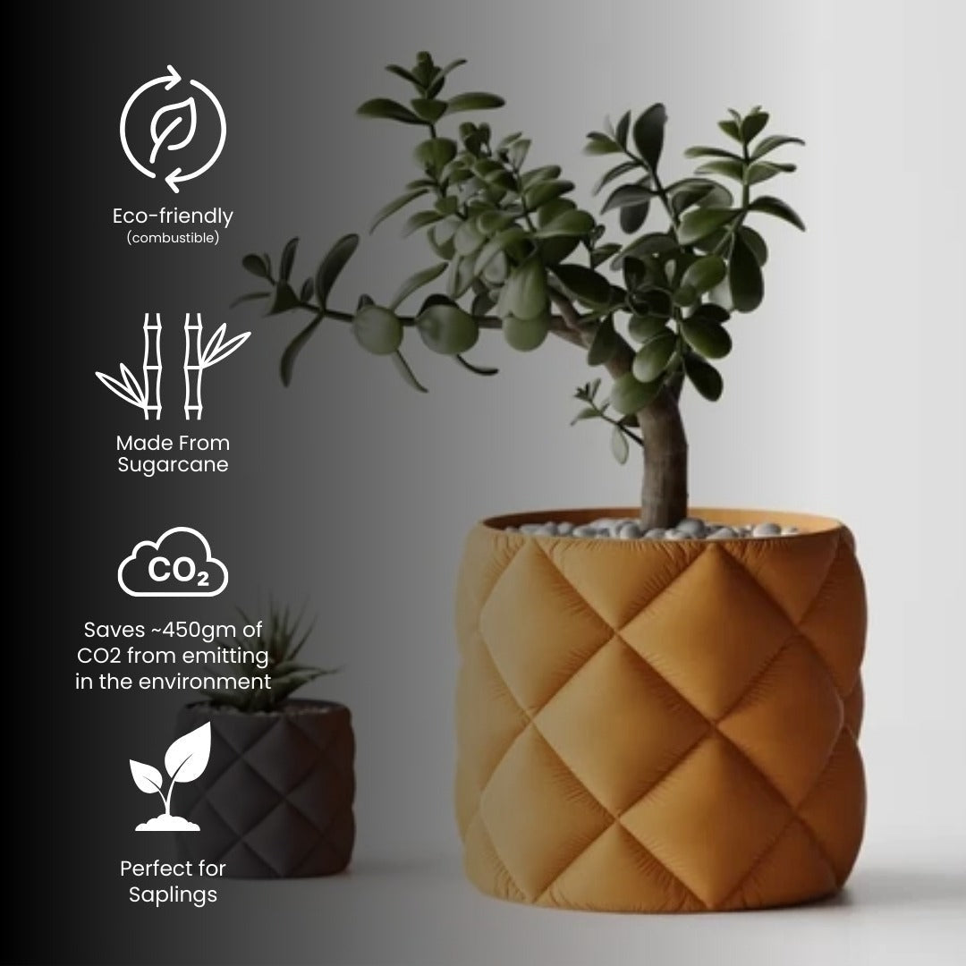 Modern Inflated Planter – Lightweight, Durable & Elegant — modern indoor planter India | Styra