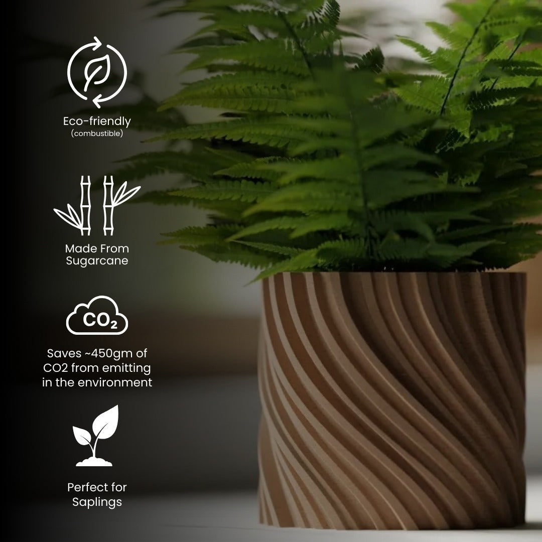 Wavy Twisted Planter Pot — modern indoor planter India | Styra