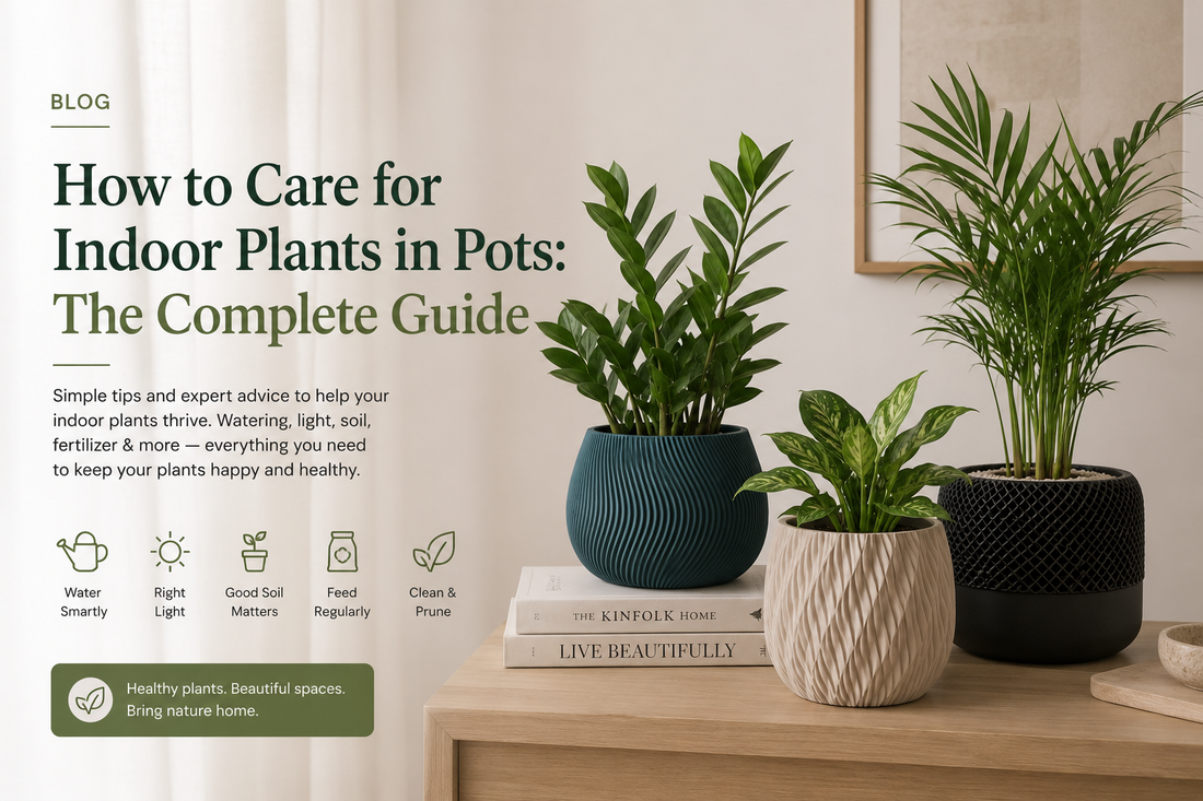 How to Care for Indoor Plants in Pots: The Complete Guide