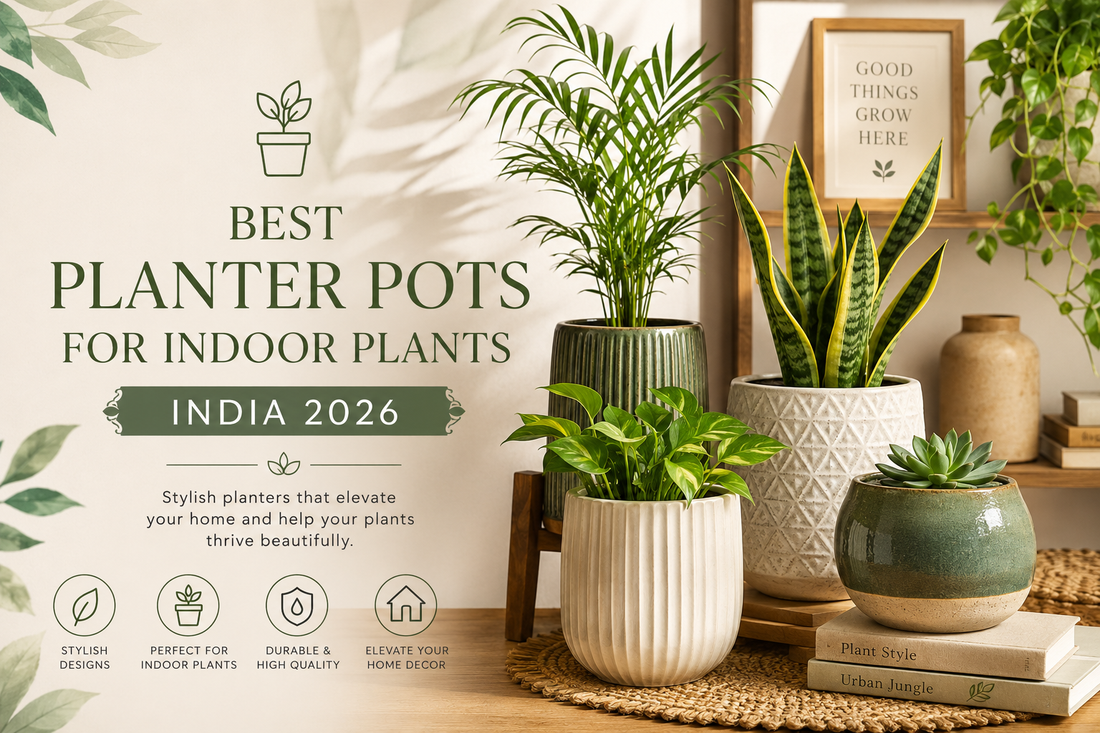 Best Planter Pots for Indoor Plants India 2026 — Complete Buyer's Guide