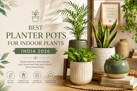 Best Planter Pots for Indoor Plants India 2026 — Complete Buyer's Guide