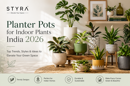 Which Planter Pot for Which Plant? A Guide for Indian Homes (2026)