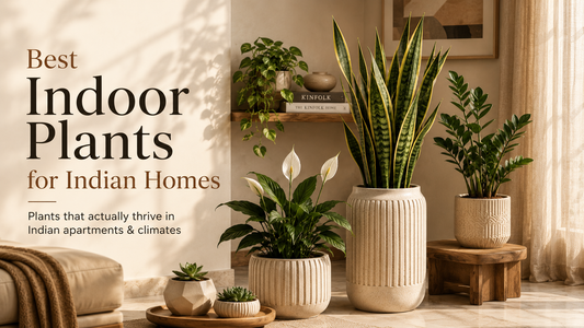 Indoor Plants That Suit Indian Homes: A Climate-Based Guide (2026)