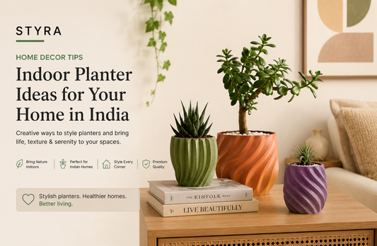 Indoor Planter Ideas for Every Room in Your Home India