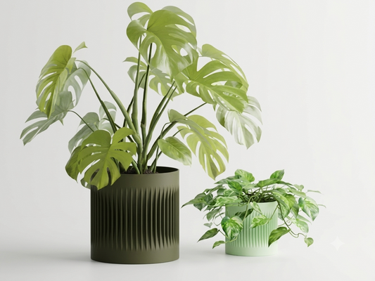 Modern Ribbed Center Pot