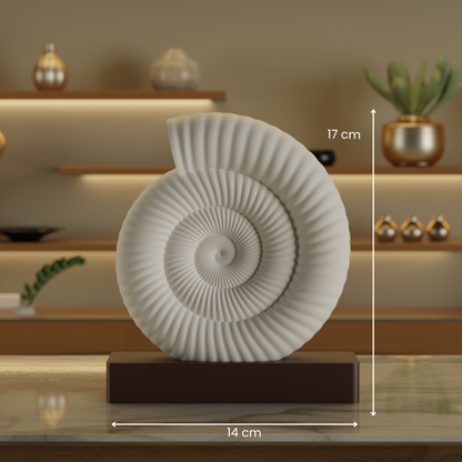 Ammonite Fossil Sculpture — modern decor sculpture India | Styra