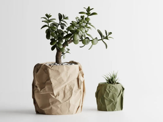 Crumbled Paper Pot — organic crumpled texture planter India | Styra