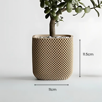 Double Ribbed Rounded Pot — designer indoor planter India | Styra