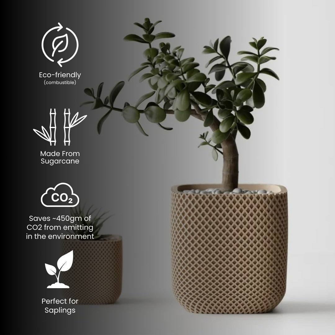 Double Ribbed Rounded Pot — modern indoor planter India | Styra