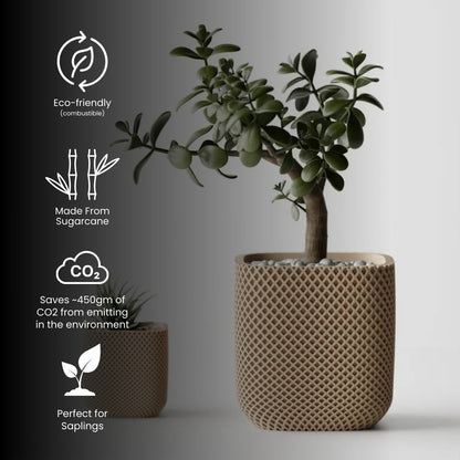 Double Ribbed Rounded Pot — modern indoor planter India | Styra