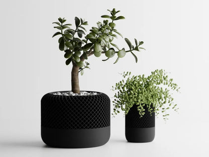 Modern Apple Home Pot — apple-form decorative plant pot India | Styra