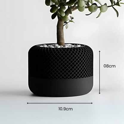 Modern Apple Home Pot — designer indoor planter India | Styra