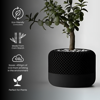 Modern Apple Home Pot — modern indoor planter India | Styra