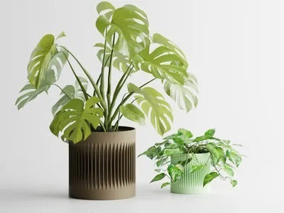 Modern Ribbed Center Pot — designer indoor planter India | Styra