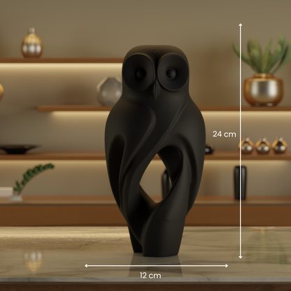 Night Owl Black — minimalist decor sculpture India | Styra