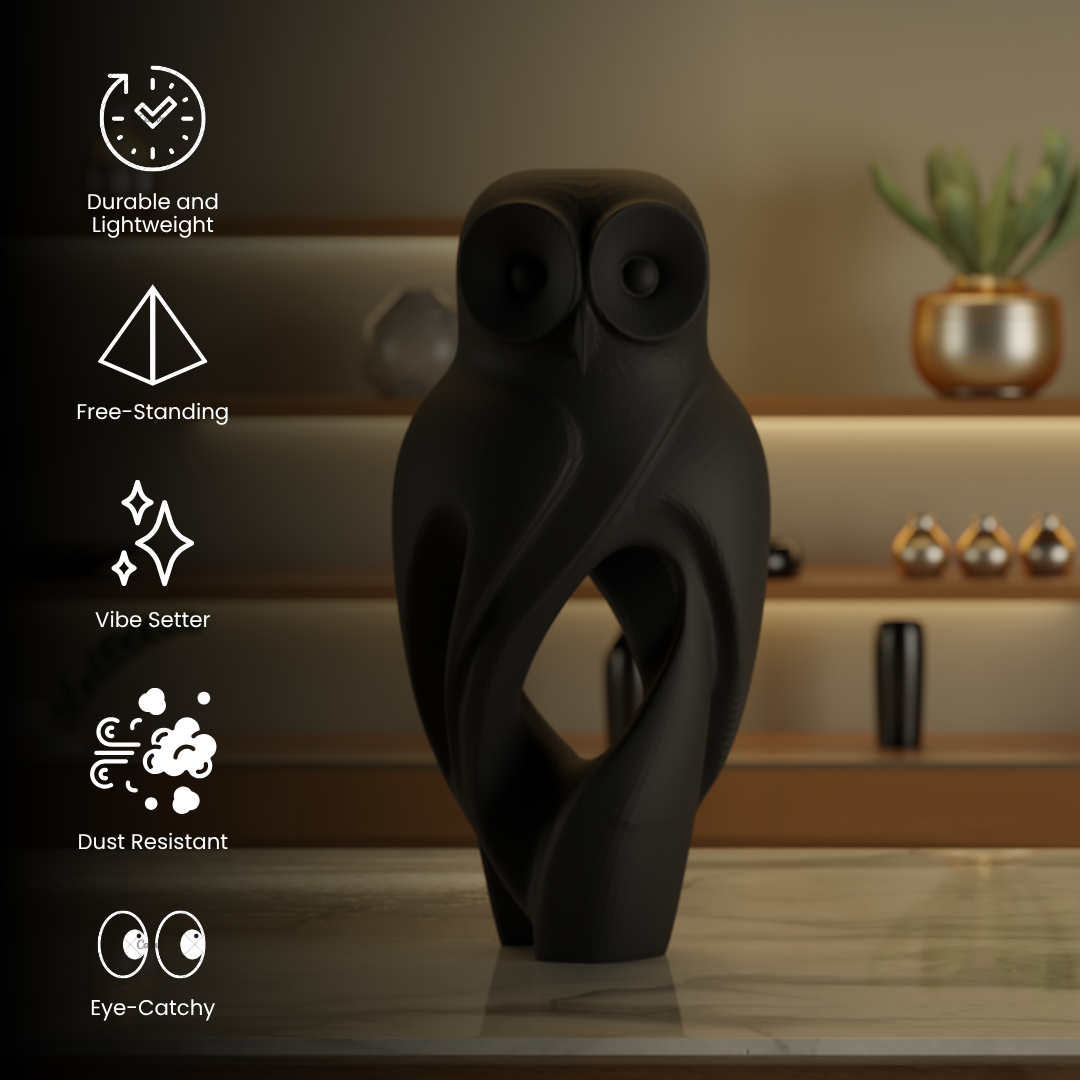 Night Owl Black — sculptural decor sculpture India | Styra