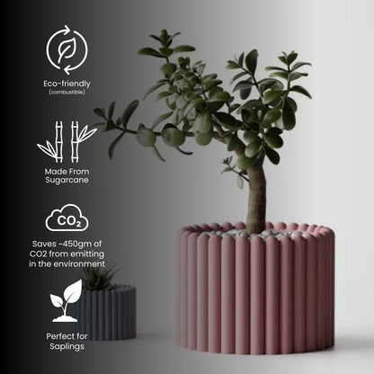 Rounded Planter Pot — modern indoor planter India | Styra
