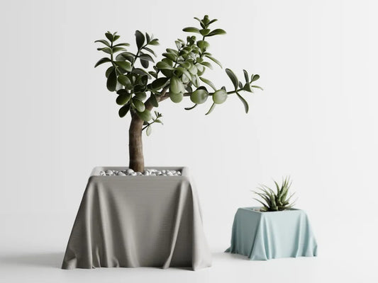 Silk Cloth Pot — luxury textile-texture planter India | Styra