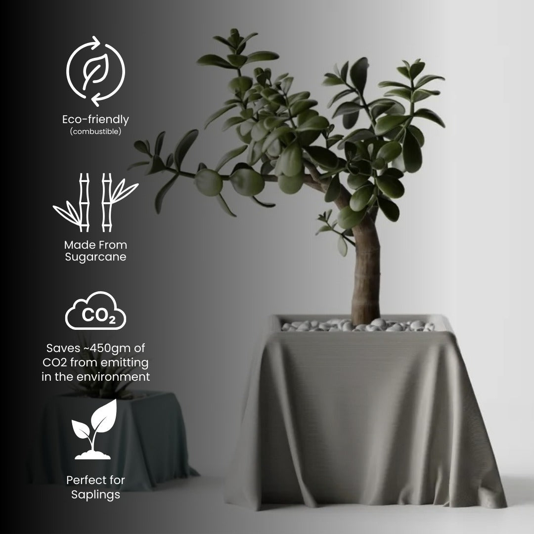 Silk Cloth Pot — designer indoor planter India | Styra