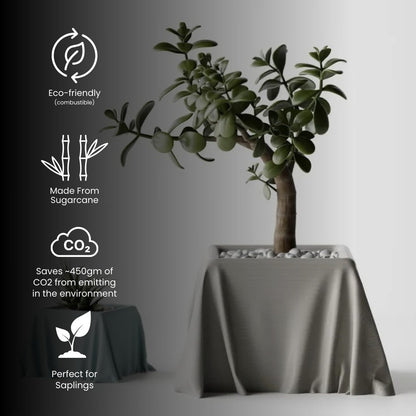 Silk Cloth Pot — designer indoor planter India | Styra