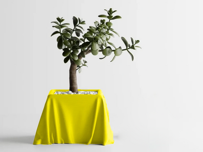 Silk Cloth Pot — modern indoor planter India | Styra