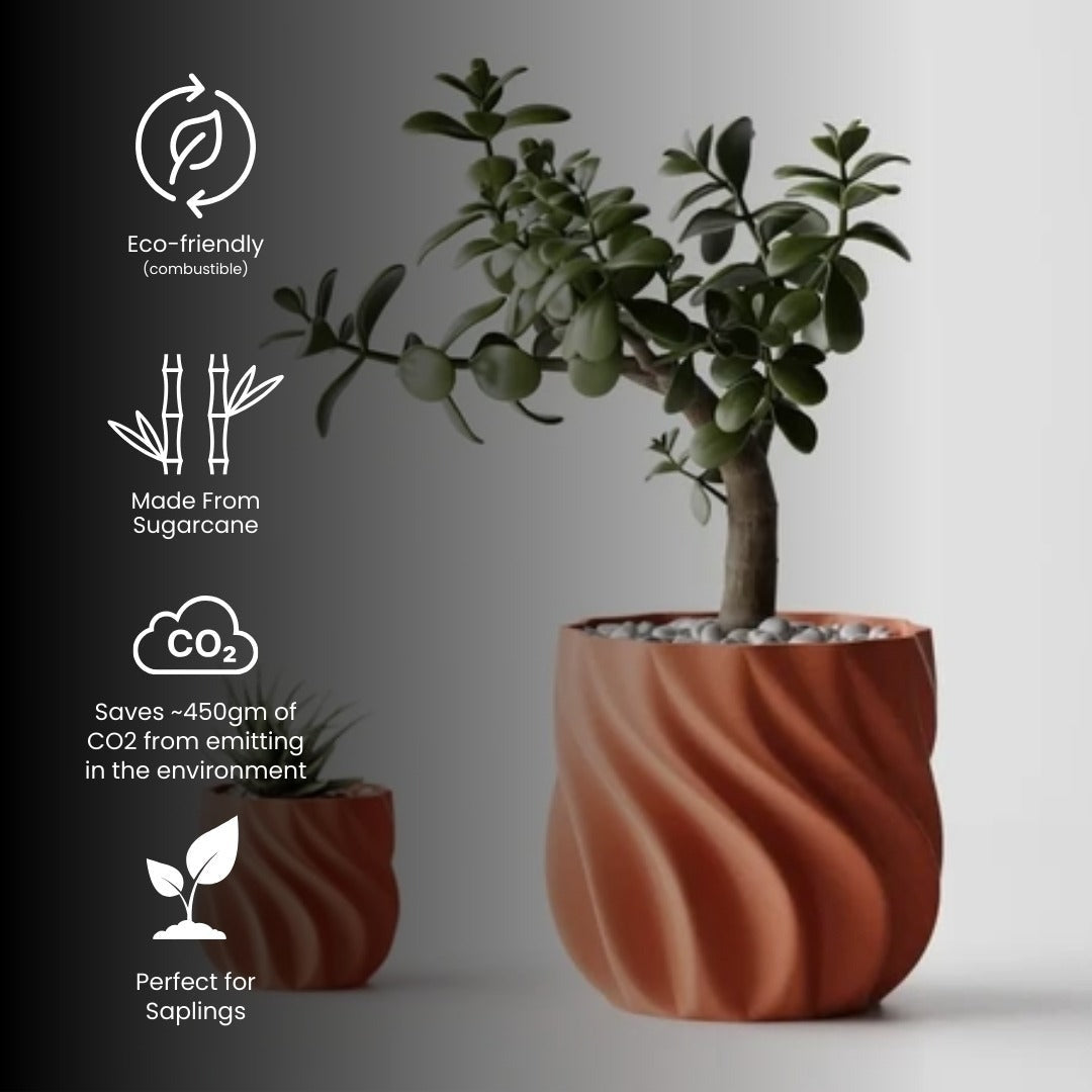 Smooth Ribs Curved Planter Pot — modern indoor planter India | Styra