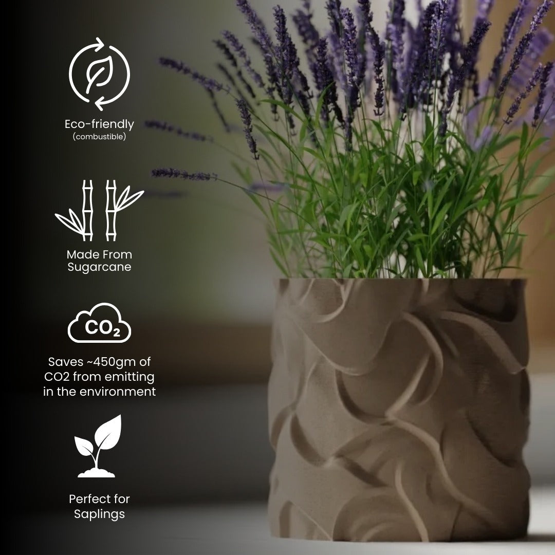 Wavy Pattern Planter Pot — modern indoor planter India | Styra